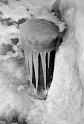 frozen post